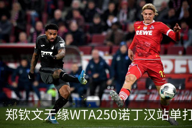 郑钦文无缘WTA250诺丁汉站单打八强