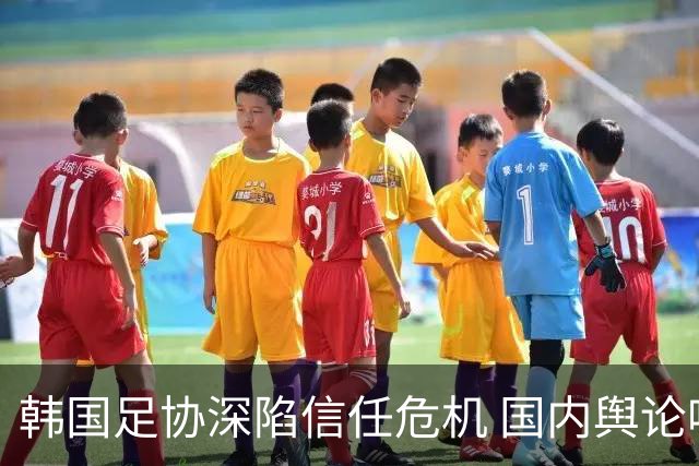 韩国足协深陷信任危机 国内舆论呼吁足协改革