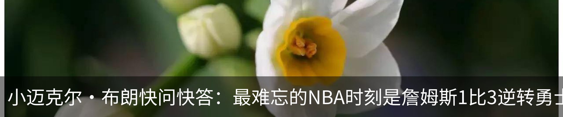 最新动态