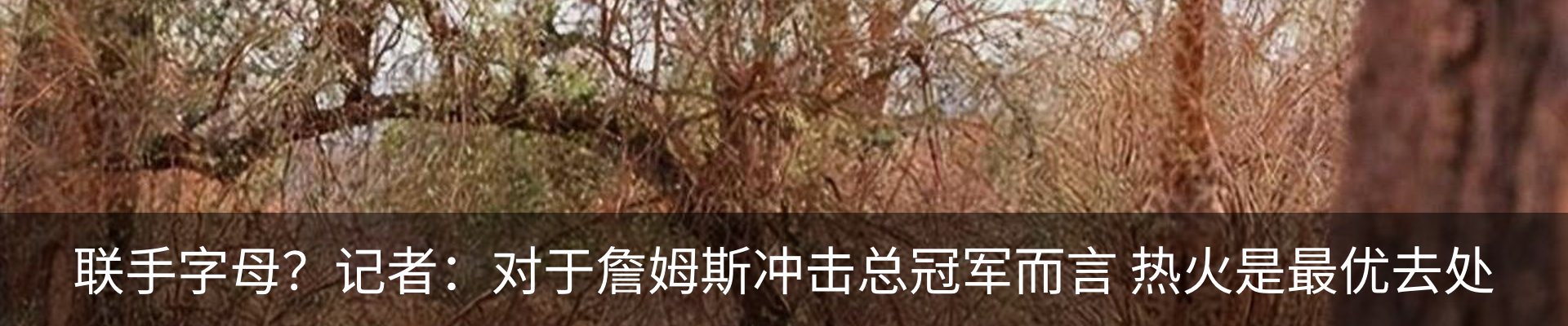最新动态